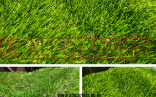 Premium 50mm Turf Grass in Kenya: Year-Round Green Residential Lawns | Ali Glaziers
