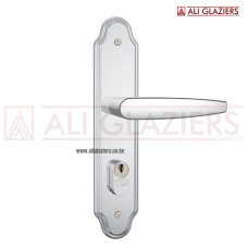 STAM EXTERNAL MORTICE LOCKSET 803/33 WITH OVAL CYLINDER - 2 TURN