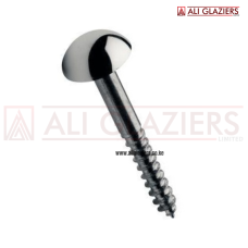 MIRROR SCREWS 1"