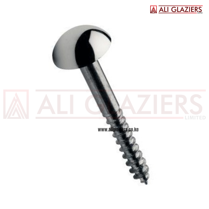 MIRROR SCREWS 1"