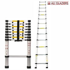 TELESCOPIC LADDER 14 STEPS
