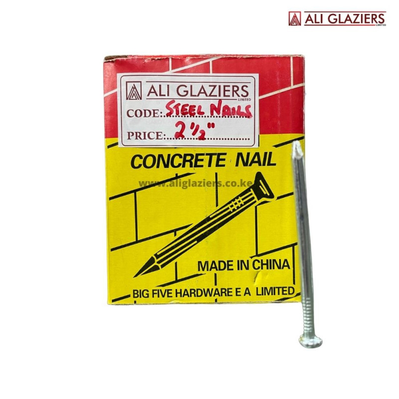STEEL NAILS 2.5"