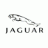 JAGUAR (7)