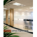 FRAMELESS GLASS OFFICE PARTITIONS