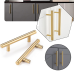 STAINLESS STEEL CABINET PULL HANDLE - BRASS