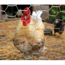 CHICKEN WIRE 30 METERS